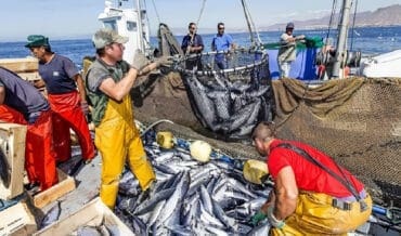 Impacto Ambiental de la Pesca