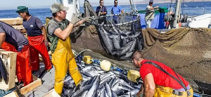 Impacto Ambiental de la Pesca