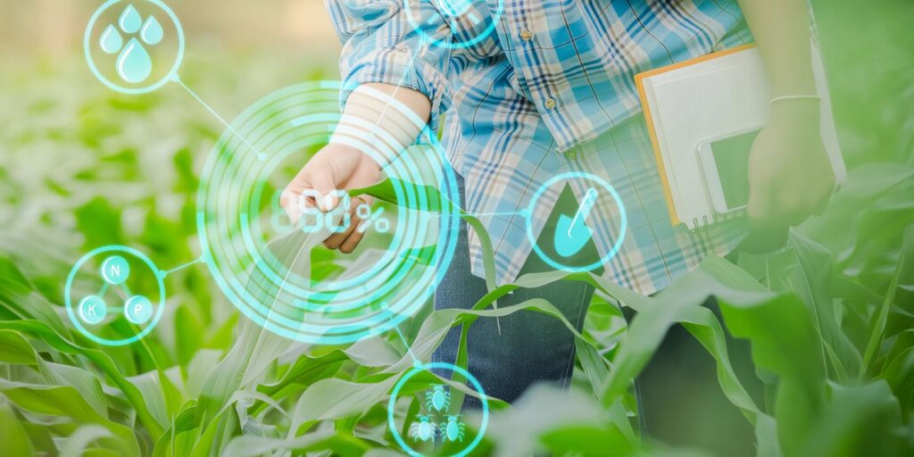 Como agricultor, usted sabe que la protección de sus cultivos es esencial para su éxito. Cada temporada, las plagas y las enfermedades amenazan su medio de vida, y es su responsabilidad tomar medidas para proteger sus cultivos. Afortunadamente, hay muchas maneras de proteger sus cultivos de los daños. En este artículo, hablaremos de algunos de los métodos más comunes de protección de cultivos. También hablaremos de las ventajas e inconvenientes de cada método, para que pueda tomar la mejor decisión para su explotación. ¿Qué es la Protección de los Cultivos? En términos muy básicos, es la protección de los cultivos contra los daños o la destrucción. Esto puede hacerse a través de una variedad de métodos, incluyendo pero no limitado a: -Barreras físicas: Se pueden utilizar elementos como vallas, redes o mallas para proteger los cultivos de que se los coman o dañen los animales o las aves. -Pesticidas: Son productos químicos que se rocían o espolvorean sobre los cultivos para matar las plagas (insectos, roedores, etc.) y protegerlos de las enfermedades. -Herbicidas: Son productos químicos que se utilizan para matar las malas hierbas y otras plantas no deseadas que podrían competir con los cultivos por el alimento, el agua y la luz solar. ¿Por Qué es Importante la Protección de los Cultivos? La respuesta es sencilla: sin ella, nuestros cultivos serían destruidos por plagas y enfermedades. Las plagas y las enfermedades pueden causar daños irreparables a los cultivos, lo que provoca una reducción del rendimiento y, en algunos casos, la destrucción total de la cosecha. Esto puede tener un efecto devastador para los agricultores, sus familias y sus comunidades. La protección de los cultivos es, por tanto, esencial si queremos mantener un suministro fiable de alimentos para las generaciones venideras. Utilizando métodos eficaces de control de plagas y estrategias de gestión de enfermedades, podemos proteger nuestros cultivos contra estas amenazas y garantizar que alcancen todo su potencial. ¿Cuáles son las Principales Amenazas a los Cultivos? Hay una serie de amenazas para los cultivos a las que los agricultores tienen que enfrentarse a diario. Las plagas, las enfermedades y las malas hierbas son las más comunes, pero también hay una serie de factores externos que pueden causar daños, como las condiciones meteorológicas extremas y los ataques de los animales. Cada una de estas amenazas puede tener un grave impacto en el rendimiento de un cultivo, por lo que es importante que los agricultores sean conscientes de los peligros y tomen medidas para proteger sus cultivos. Hay varios métodos que pueden utilizar, como el uso de productos de protección de cultivos, la instalación de vallas para mantener alejados a los animales y la plantación de cultivos resistentes a plagas y enfermedades. ¿Cómo se Pueden Proteger los Cultivos? Hay varias formas de proteger tus cultivos de las plagas y enfermedades. Una de ellas es utilizar productos de protección de cultivos, como pesticidas y fungicidas. Estos productos ayudan a matar o controlar las plagas y enfermedades que pueden dañar tus plantas. Otra opción es utilizar métodos naturales de control de plagas, como la creación de un hábitat desfavorable para las plagas, el uso de extractos de plantas o aceites esenciales como pesticidas, o el uso de trampas y barreras adhesivas para atrapar insectos. Sea cual sea el método que elijas, es importante que leas siempre la etiqueta con atención y sigas las instrucciones al pie de la letra. Conclusión Finalmente, la protección de los cultivos es un paso fundamental para garantizar el éxito de cualquier explotación agrícola. Utilizando los productos y métodos adecuados, puede proteger sus cultivos de plagas o enfermedades, y ayudarles a alcanzar su máximo potencial.