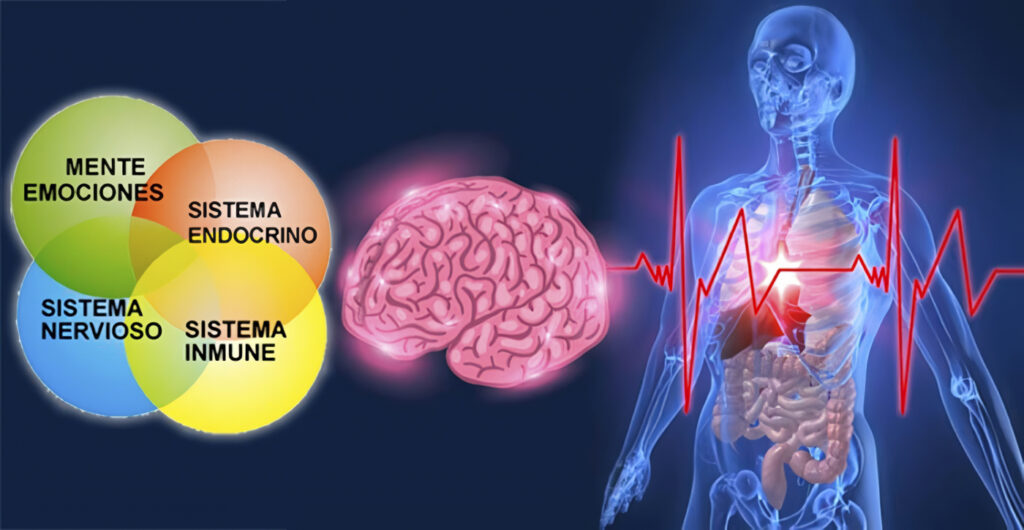 Psiconeuroinmunología