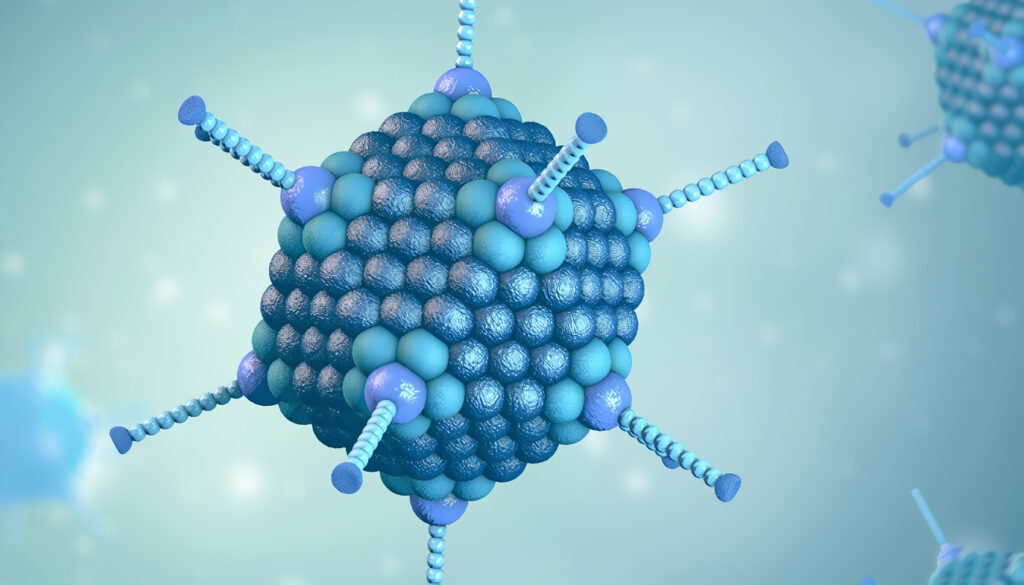 Los Adenovirus