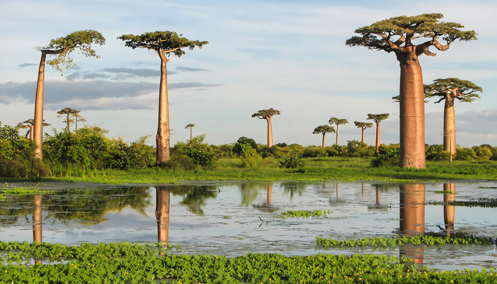 Geografía de Madagascar