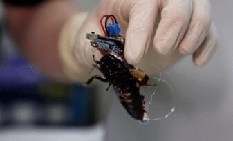 Cucarachas Cyborg para rescate