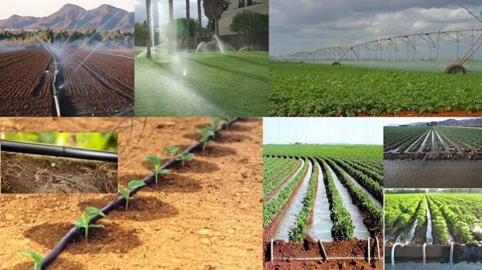 La Importancia del Riego y Drenaje en la Agricultura
