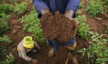 Mejorar la calidad del suelo para el cultivo