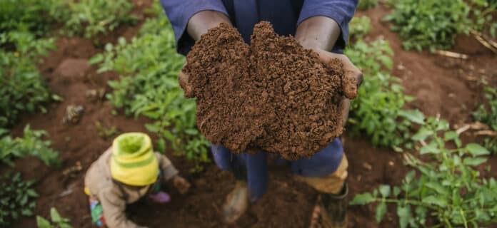 Mejorar la calidad del suelo para el cultivo