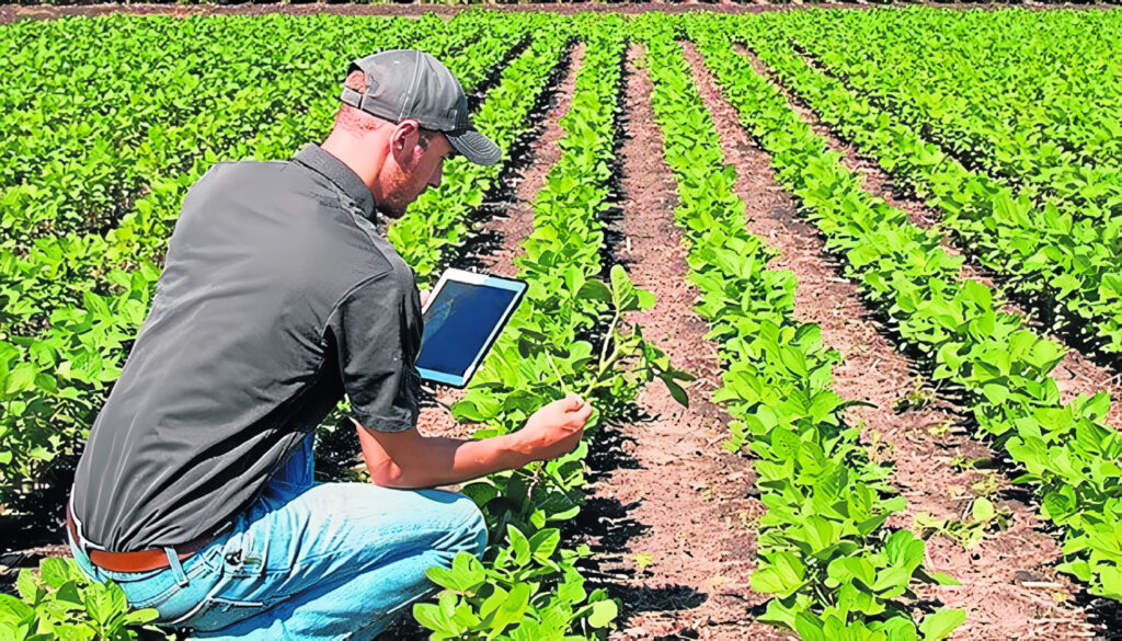 Ingeniería Agrícola