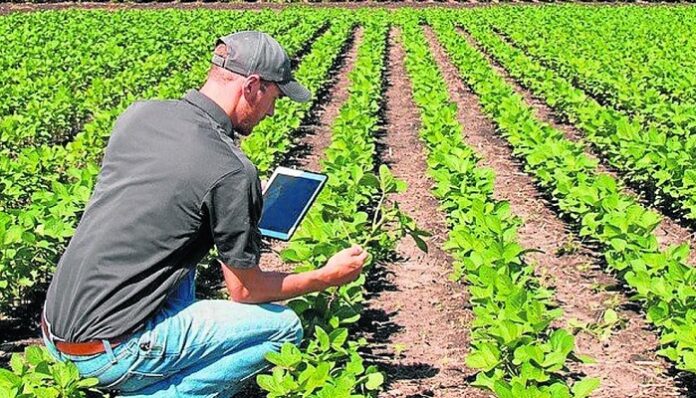 Ingeniería Agrícola