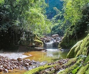 Parque Nacional Calilegua