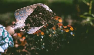 Consejos para Mejorar la Calidad del suelo