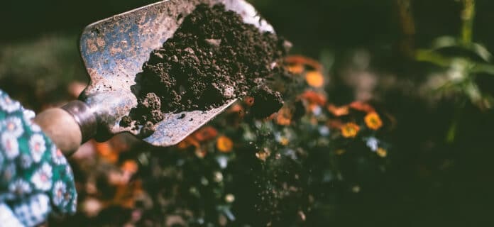 Consejos para Mejorar la Calidad del suelo