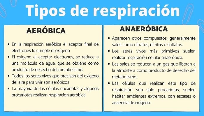 Respiracion anaeróbicos y aeróbicos