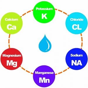 Cuales son los electrolitos