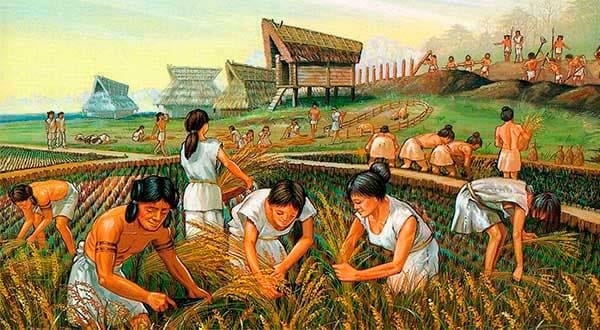 agricultura edad de bronce