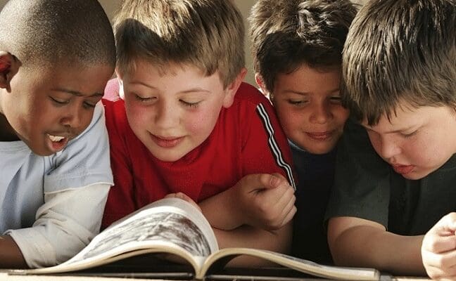 Libros primaria y literatura infantil