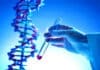 Los Test de ADN para Averiguar tus Antepasados