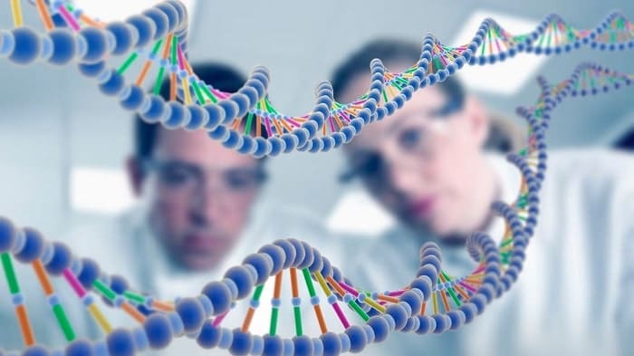 herencia genetica ADN