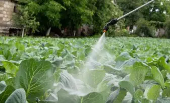 Herbicidas para el Control de Malas Hierbas