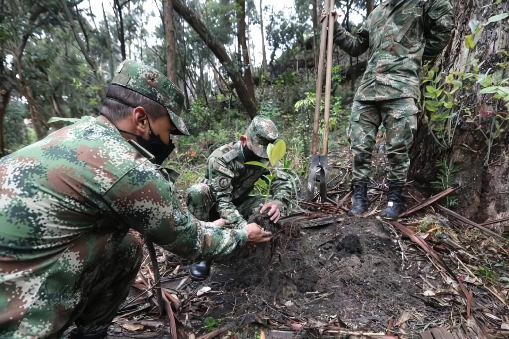 Operación Mayor Artemisa: Un Compromiso Militar Contra la Deforestación y por la Protección Ambiental