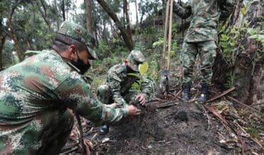 Operación Mayor Artemisa