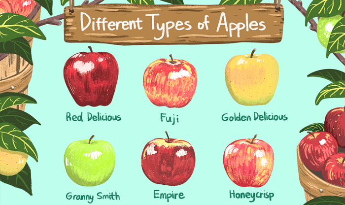 Tipos de Manzanas