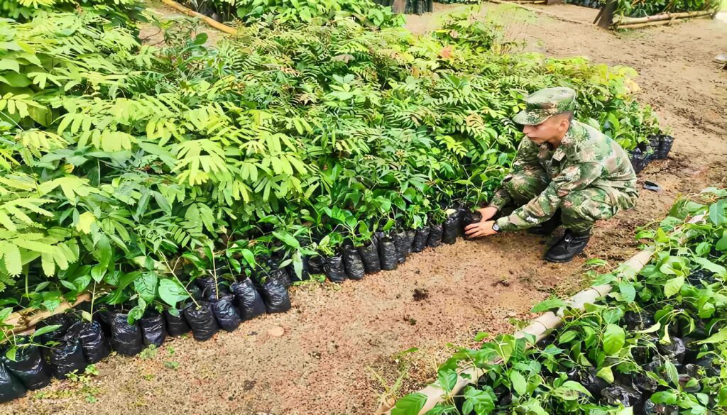 Fuerzas Militares y la Protección del Ambiente cual es el problema