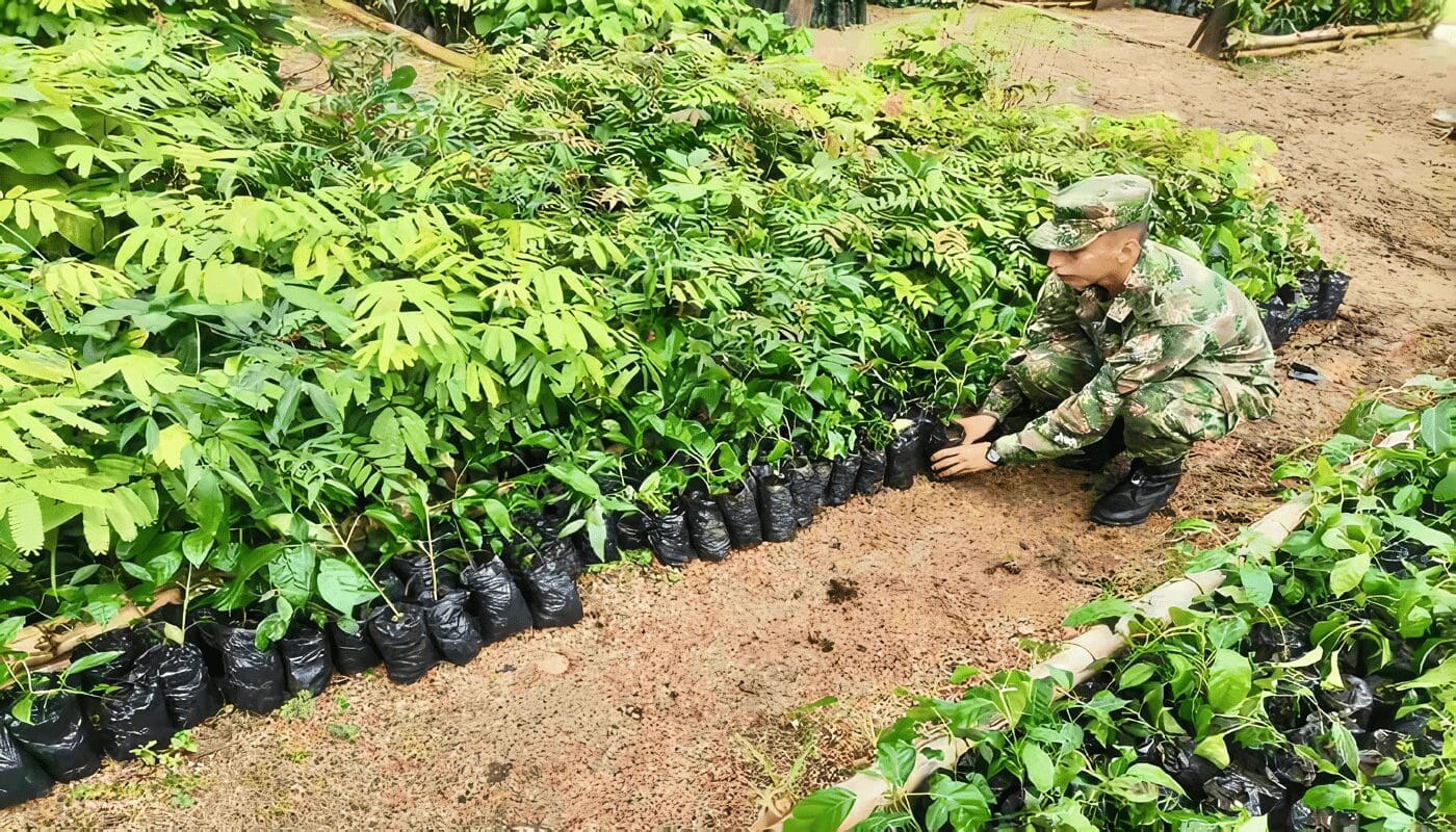 Fuerzas Militares y la Protección del Ambiente cual es el problema