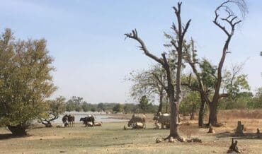 Geografía de Burkina Faso