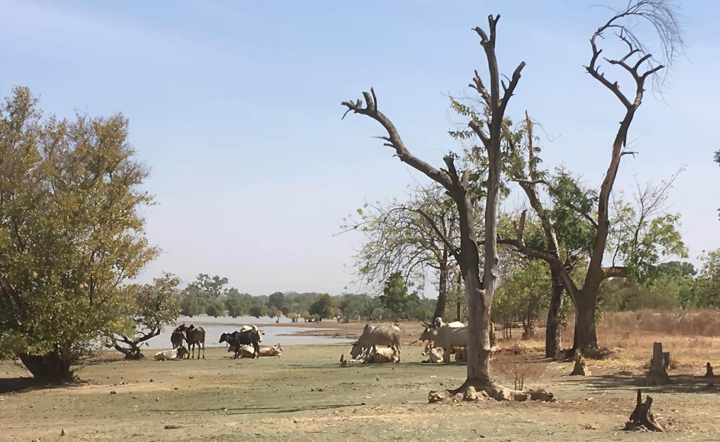 Geografía de Burkina Faso