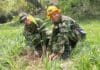 fuerzas militares proteccion medio ambiente