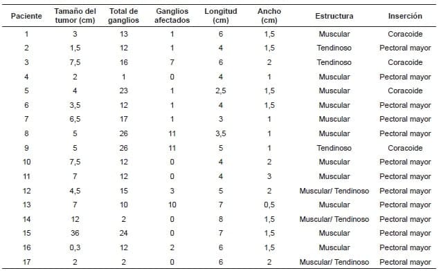 Características morfológicas del arco axilar de Langer en las pacientes
