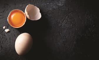 Aporte Nutricional del Huevo 