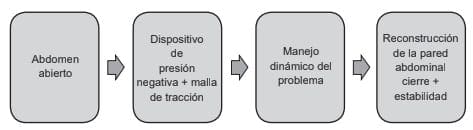 Conceptualización del abdomen abierto