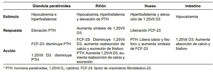 Hiperparatiroidismo Primario - control del calcio, fósforo y vitamina D