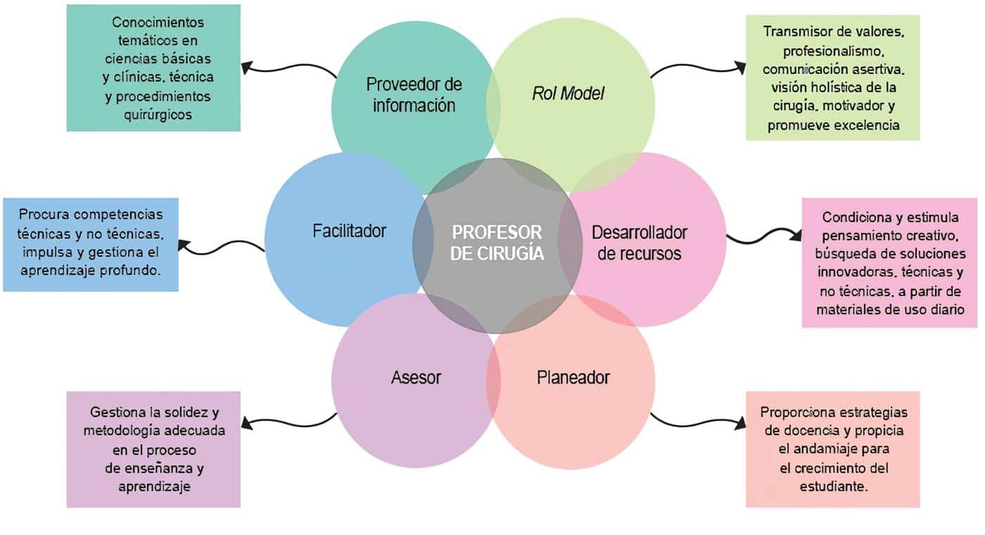 Roles de los profesores de cirugía