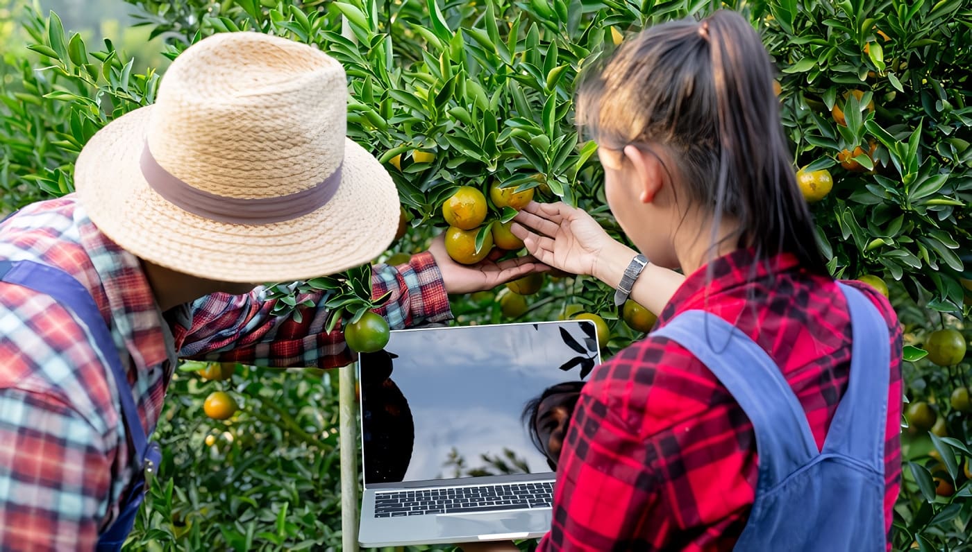 El Marketing Agrario para agricultores y ganaderos