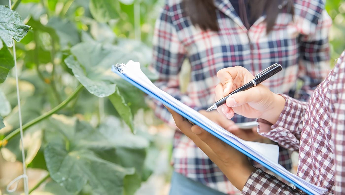 Estrategias Mercadeo Agropecuario