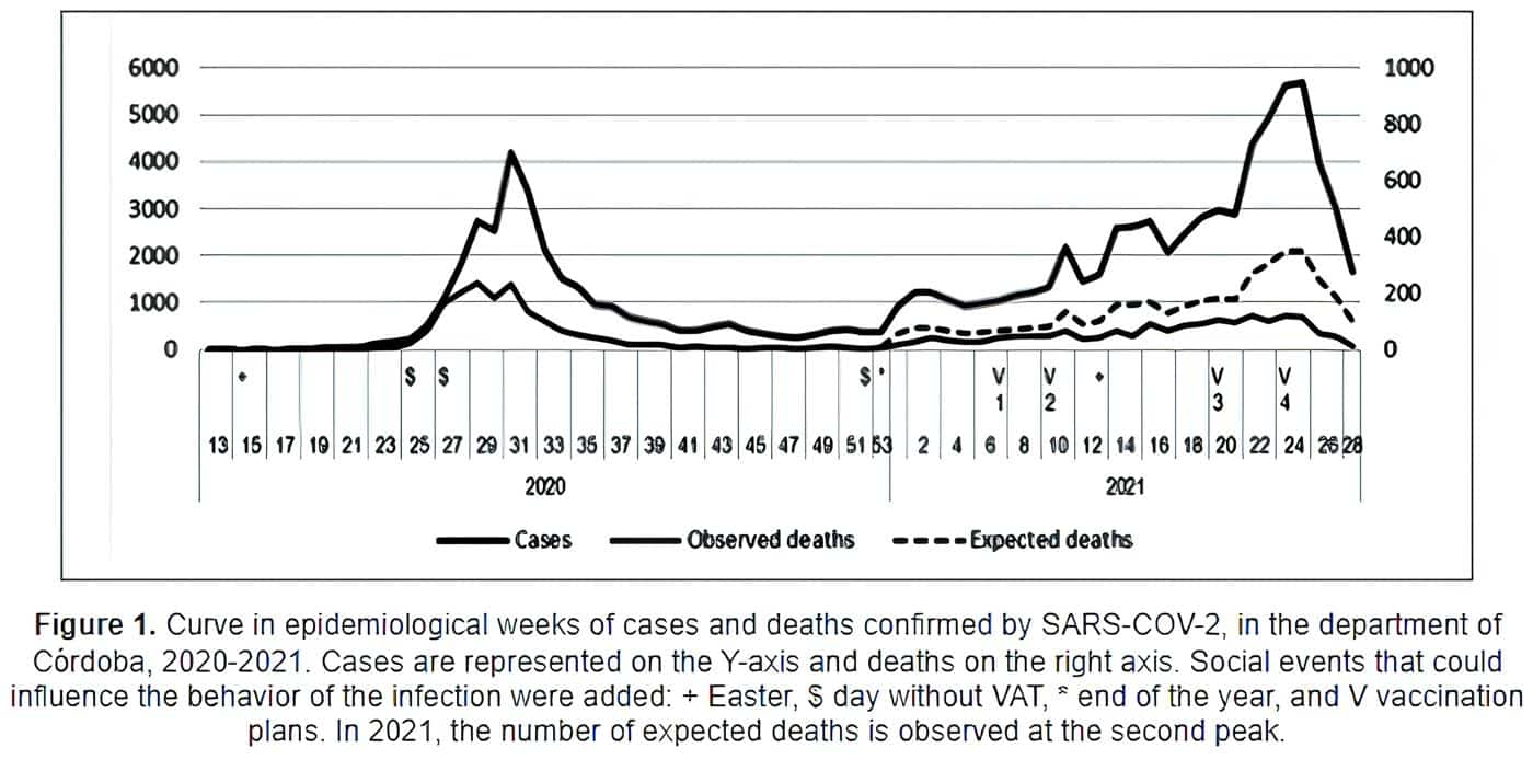 Curve in epidemiological weeks of cases and deaths confirmed by SARS-COV-2