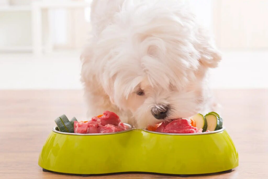 Consejos para garantizar una dieta equilibrada