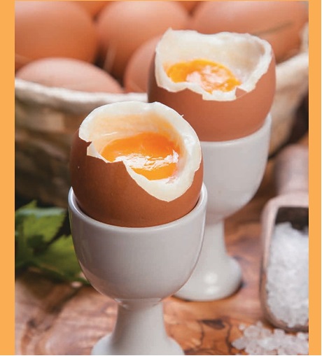 Aporte de aminoácidos esenciales del huevo 