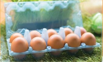 Beneficios del consumo diario de huevo de gallina