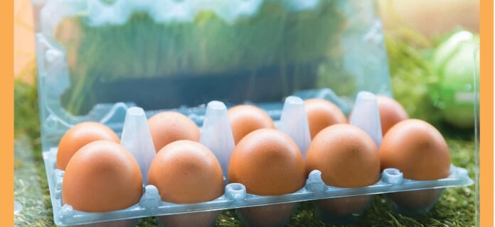Beneficios del consumo diario de huevo de gallina