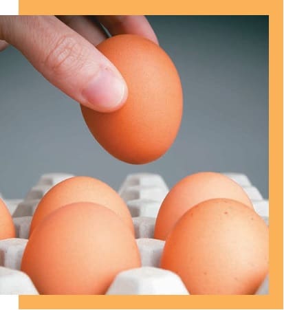 Beneficios del consumo huevo