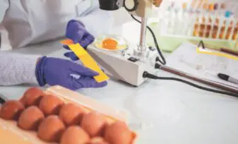 Consumo de huevo y el mito con el cáncer