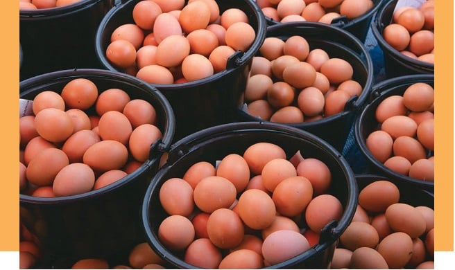 Los huevos como componente de una alimentación balanceada y nutritiva