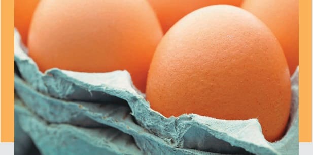 Huevo y estilo de vida saludable en niños