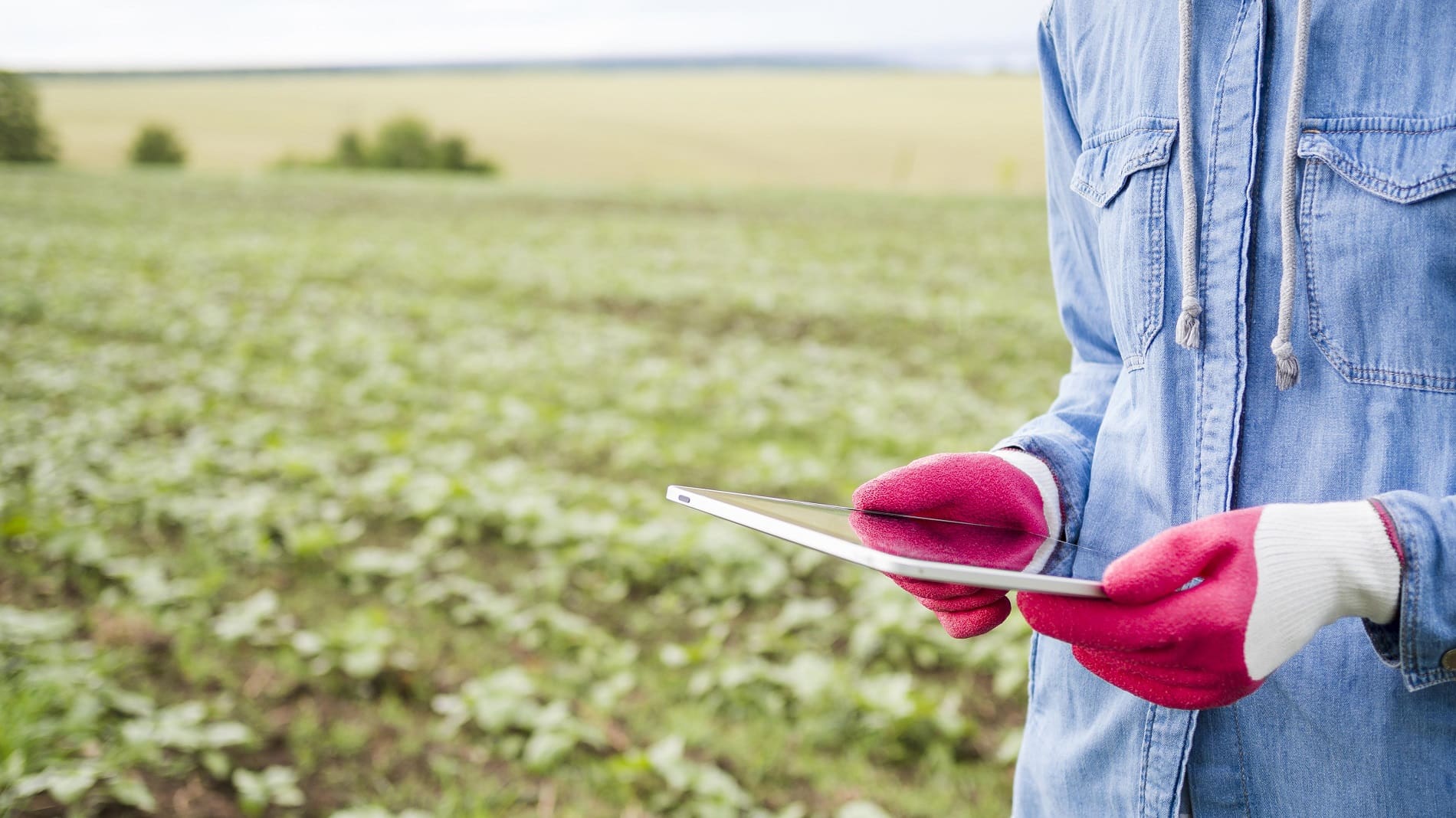 La agricultura de precisión