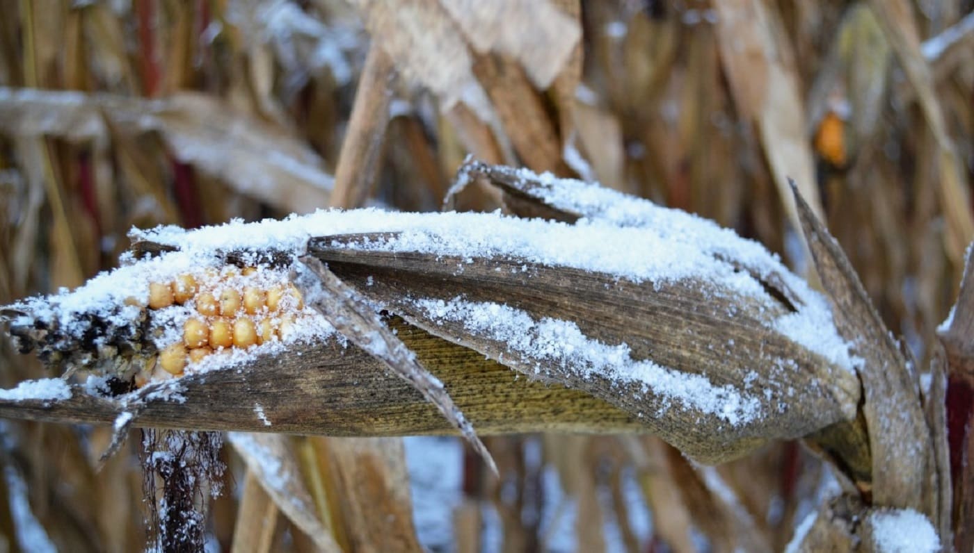 Agricultura en Clima Frío