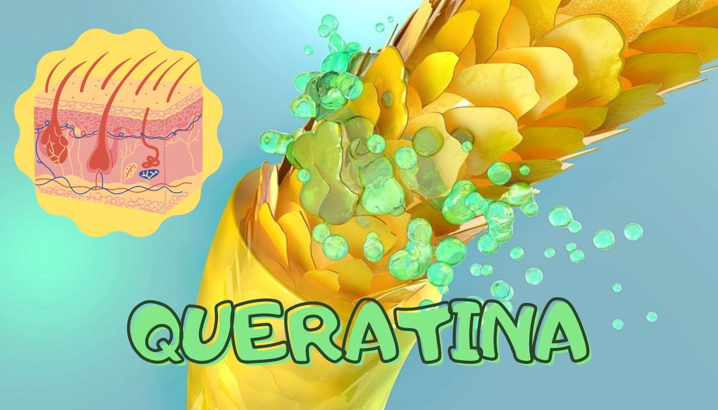 Qué es la Queratina