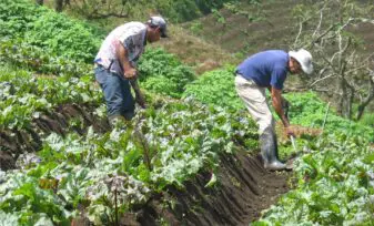 Reforma agraria en Colombia